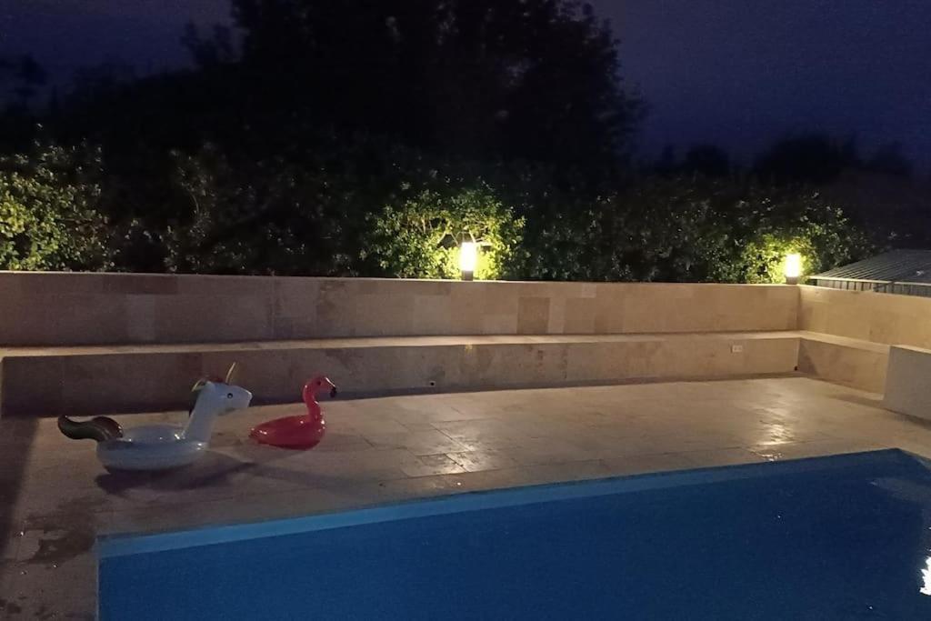 Charmant Studio Avec Piscine Villemoustaussou المظهر الخارجي الصورة